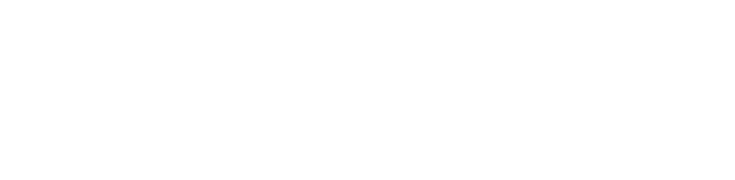 Verizon